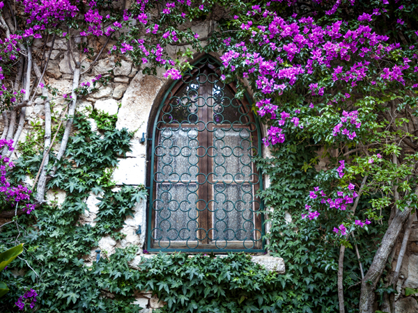 心向繁花.寻梦南法 - 德法意瑞普罗旺斯7日（2026全新改版） 第 2 天