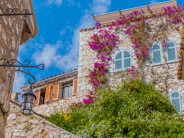 心向繁花.寻梦南法 - 德法意瑞普罗旺斯7日（2026全新改版） 第 3 天